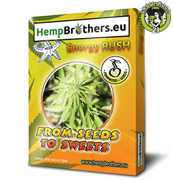 Bild von Energy Rush