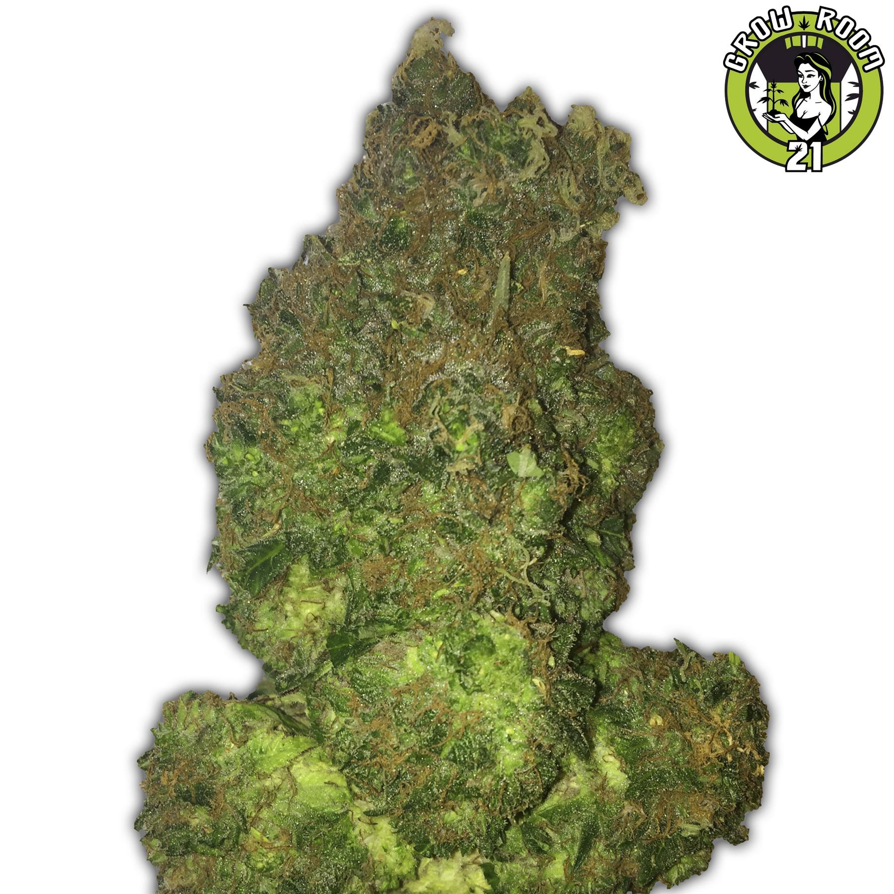 Bild von Fruit Punch Auto