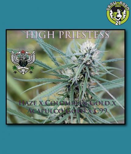 Bild von High Priestess