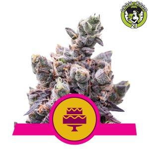 Bild von Seeds Wedding Gelato