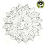 Bild von Silver Skunk