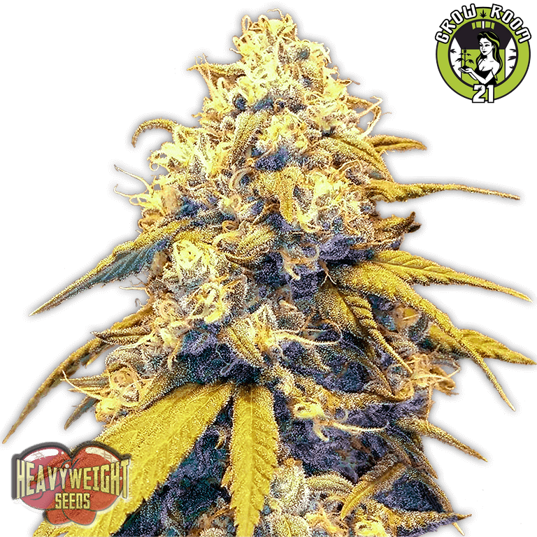 Bild von Strawberry Cake Auto
