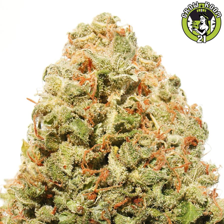 Bild von Strawberry Cheesecake