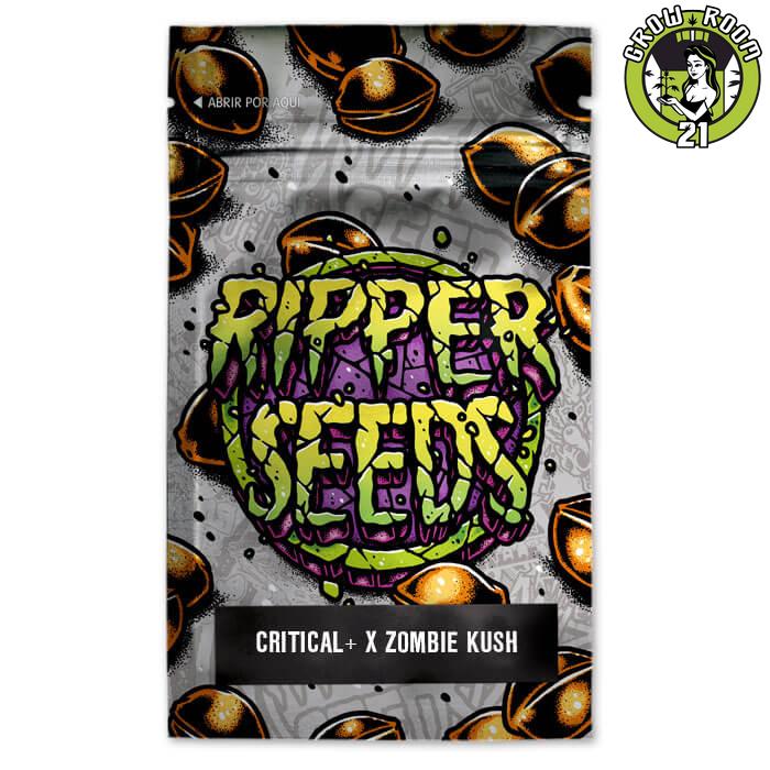 Bild von Critical x Zombie Kush