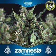 Bild von Cherry Bud Automatic