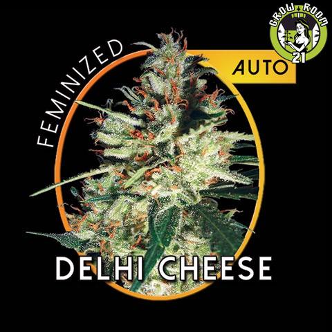 Bild von Delhi Cheese