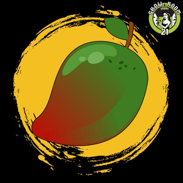 Bild von Green Mango
