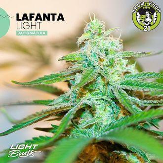 Bild von Lafanta Light Auto