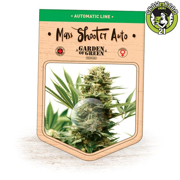 Bild von Mass Shooter Auto
