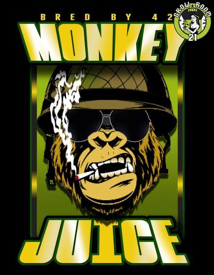 Bild von Monkey Juice
