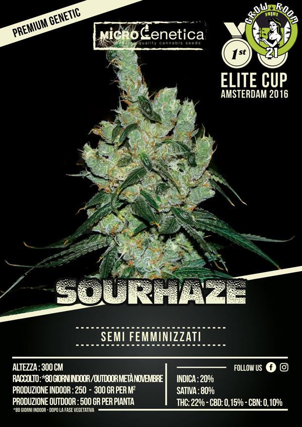 Bild von Sourhaze