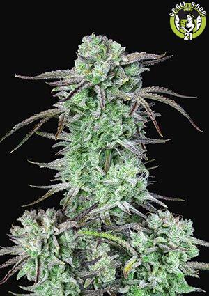 Bild von Strawberry Banana Auto