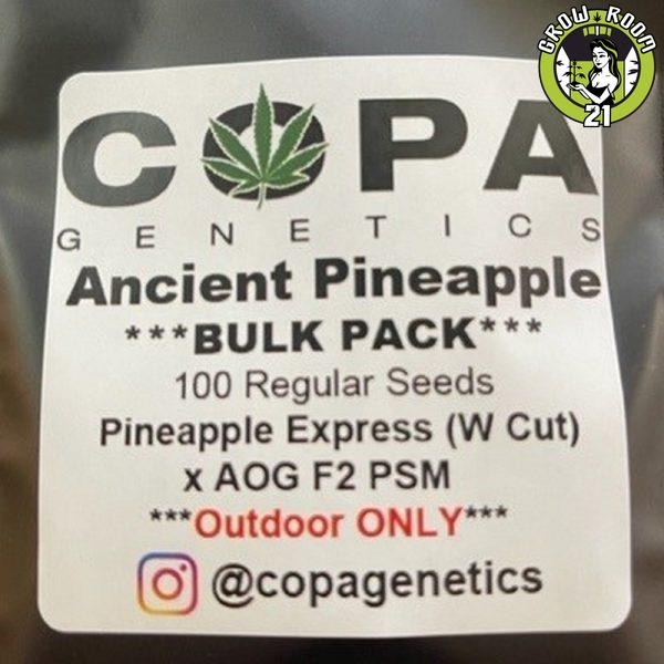 Bild von Ancient Pineapple