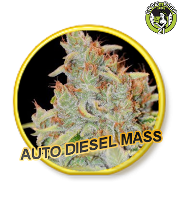 Bild von Auto Diesel Mass
