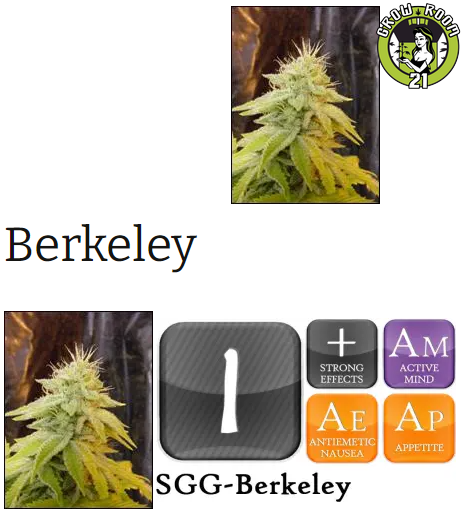 Bild von Berkley