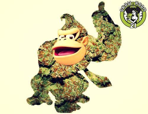 Bild von Danky Kong