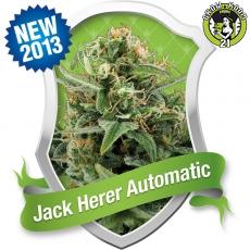 Bild von Seeds Jack Herer Automatic