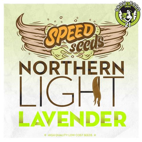 Bild von Northern Light x Lavender