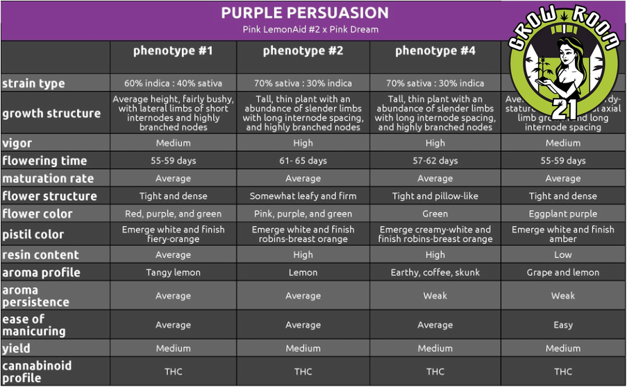 Bild von Purple Persuasion