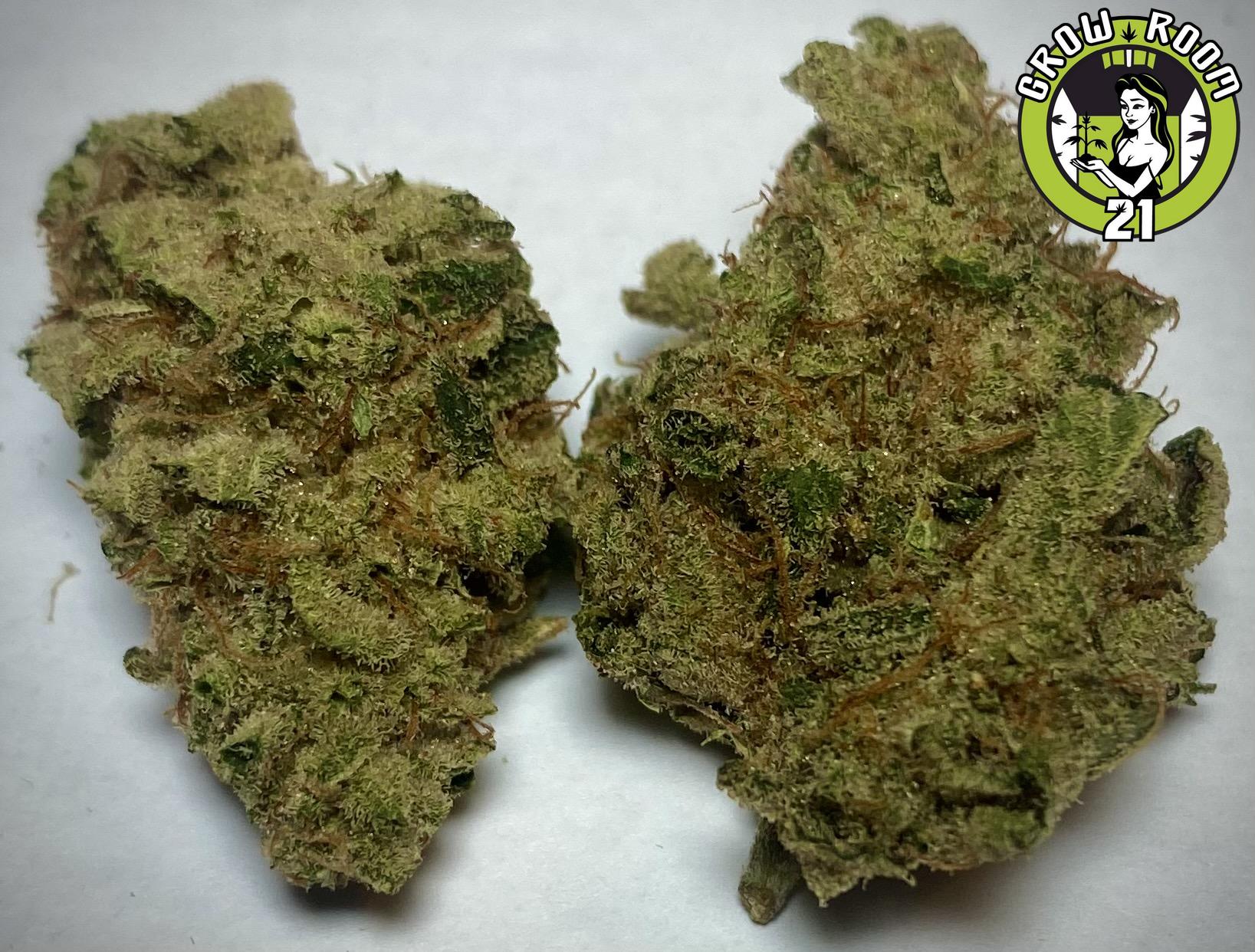 Bild von Sour OG Cheese