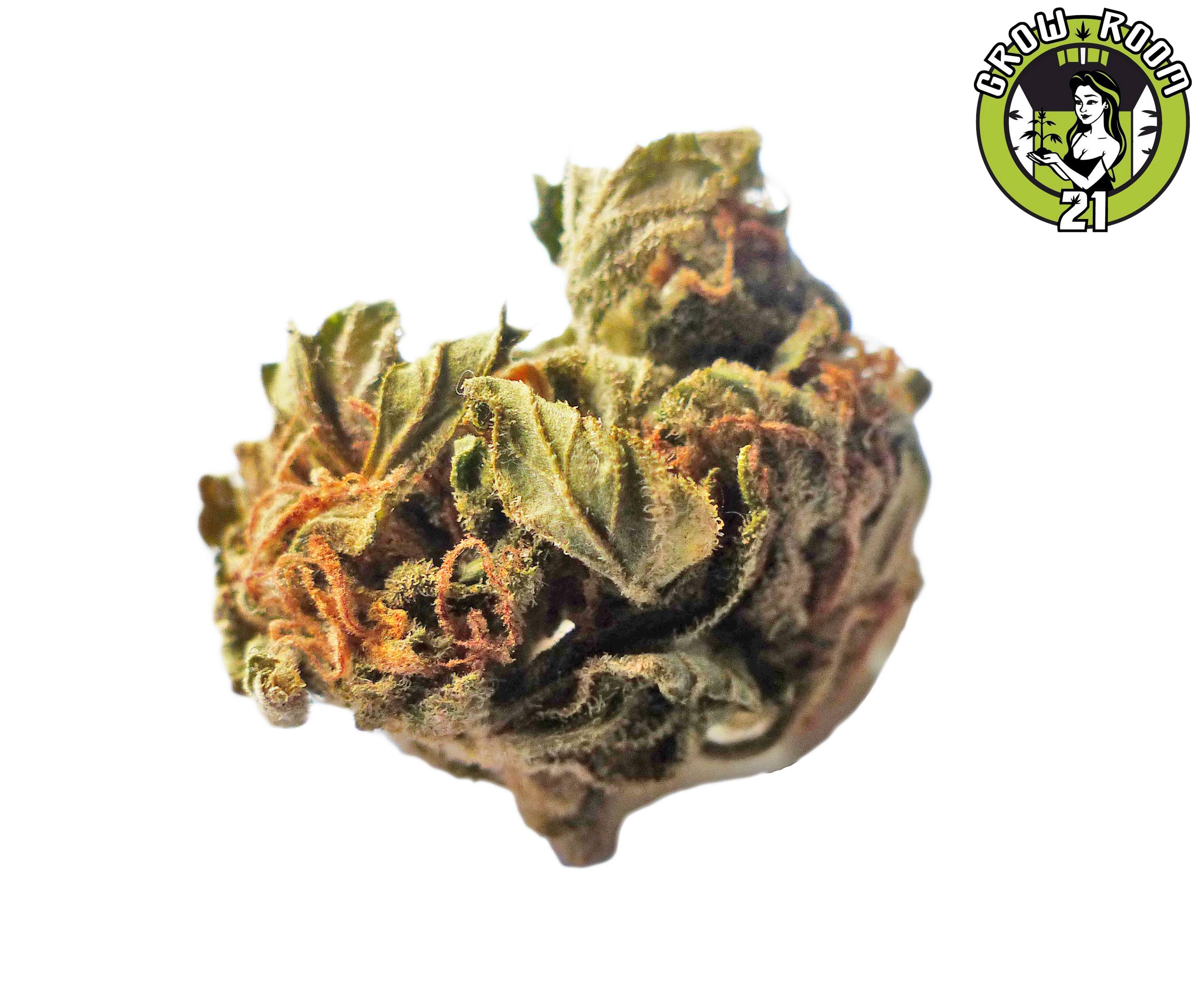 Bild von Super Silver Haze