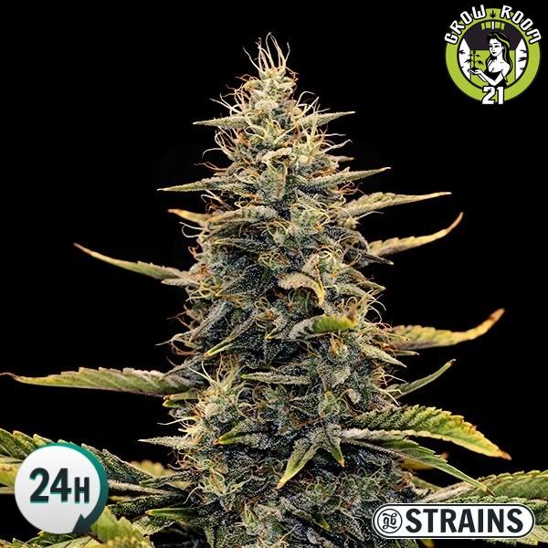 Bild von Auto Strawberry Banana XXL