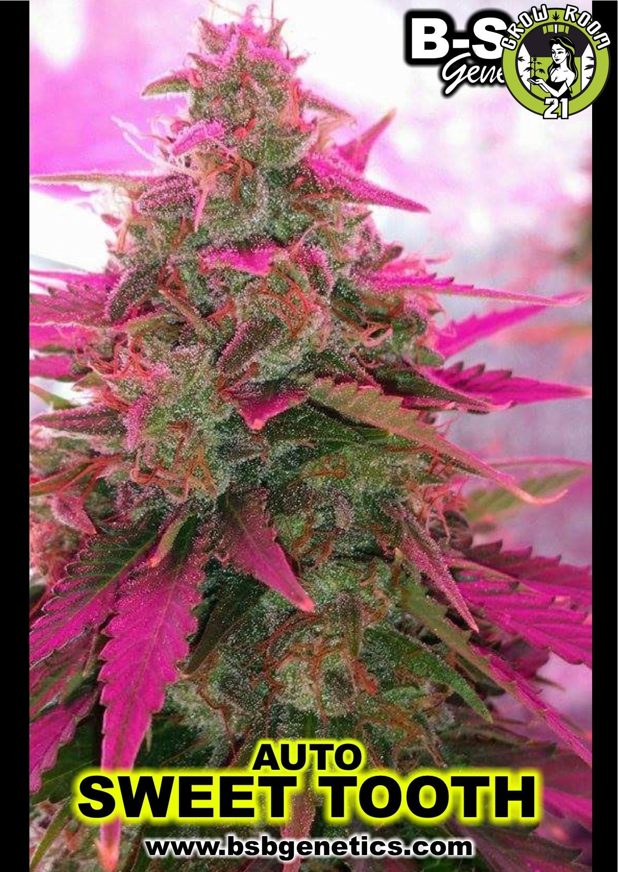 Bild von Auto Sweet Tooth