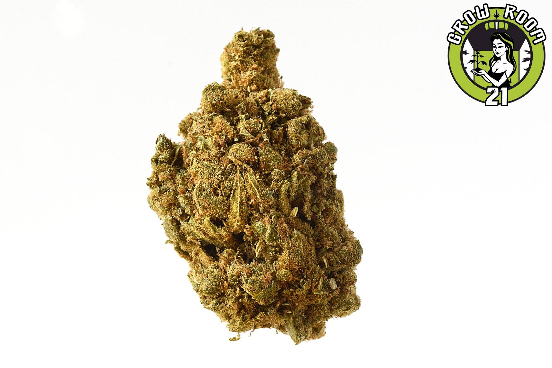 Bild von Blue Amnesia