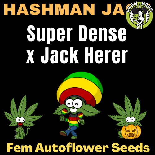 Bild von Hashman Jack