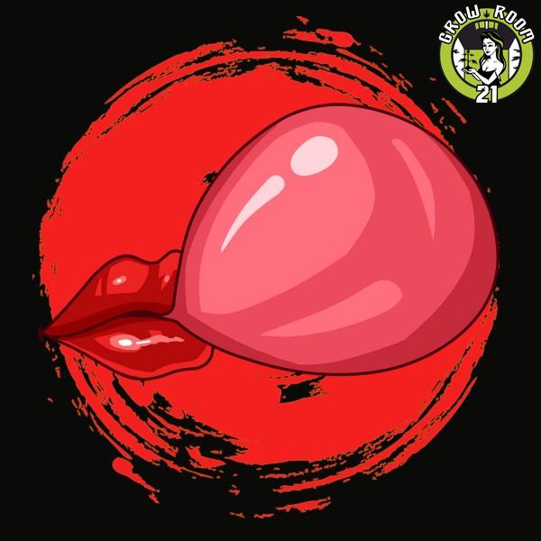 Bild von West Coast Bubbles Auto