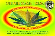 Bild von Senegal Haze