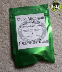 Bild von Death By Kush