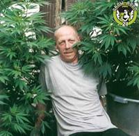 Bild von Royal Queen