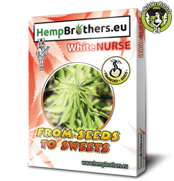 Bild von White Nurse