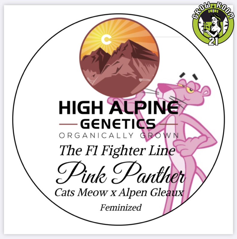 Bild von Pink Panther CBD