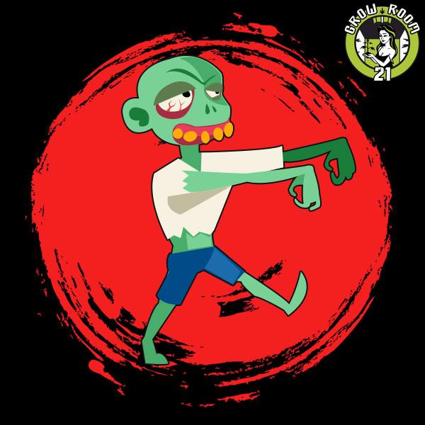 Bild von Zombie Haze Auto