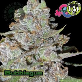 Bild von Bubblegum