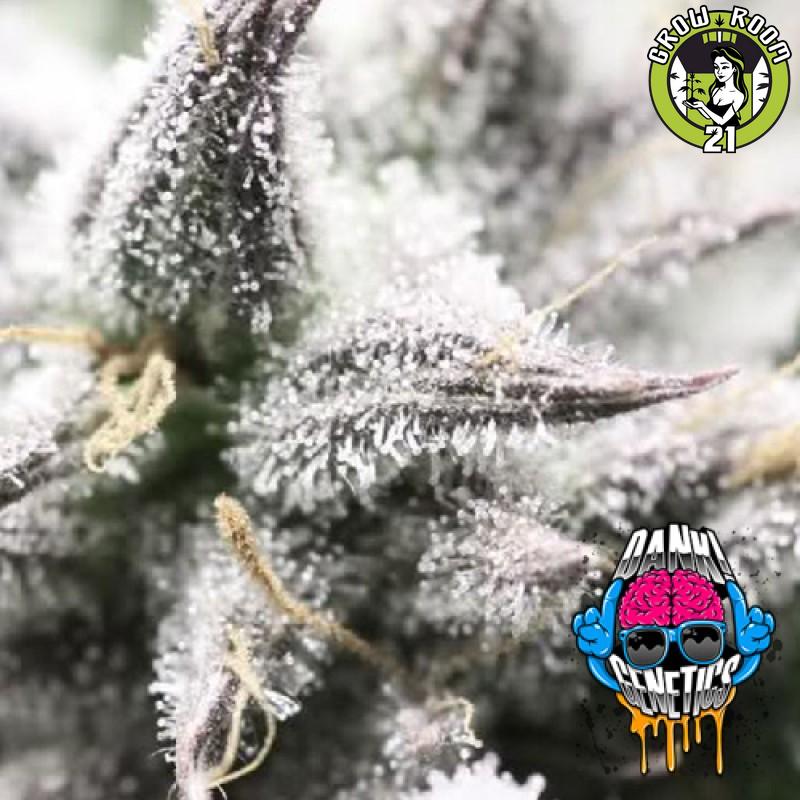 Bild von Fire Fighter OG