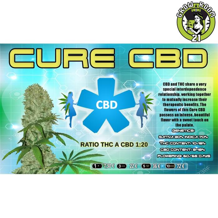 Bild von Cure CBD