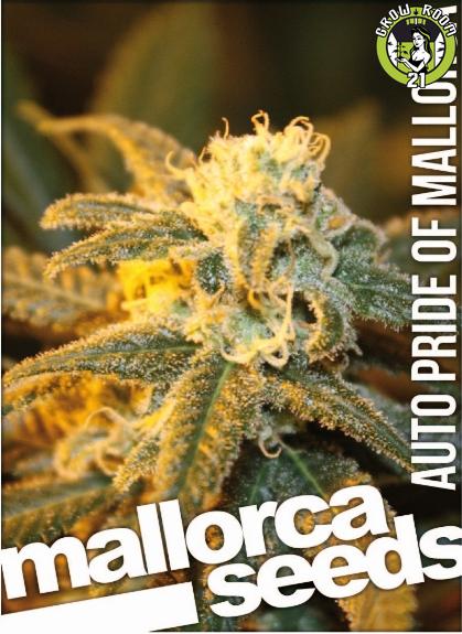 Bild von Pride of Mallorca Automatic