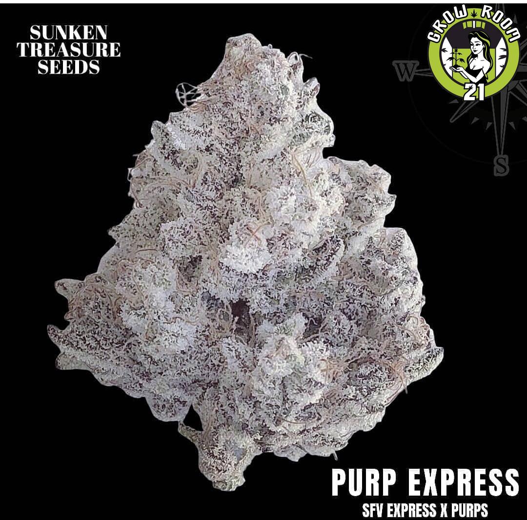 Bild von Purp Express