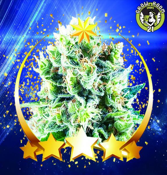Bild von Neptune Kush Auto