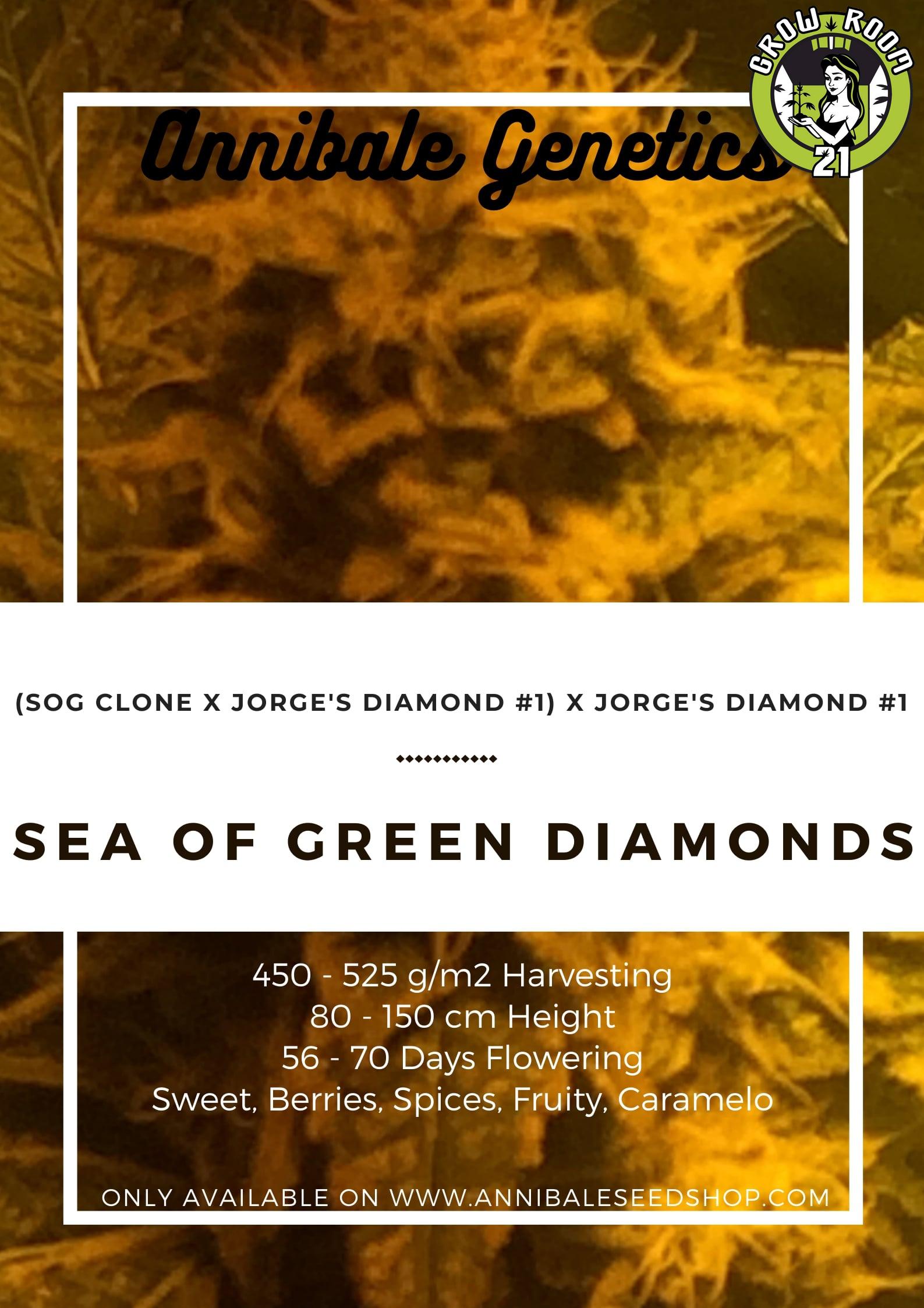 Bild von S.O.G. Diamonds