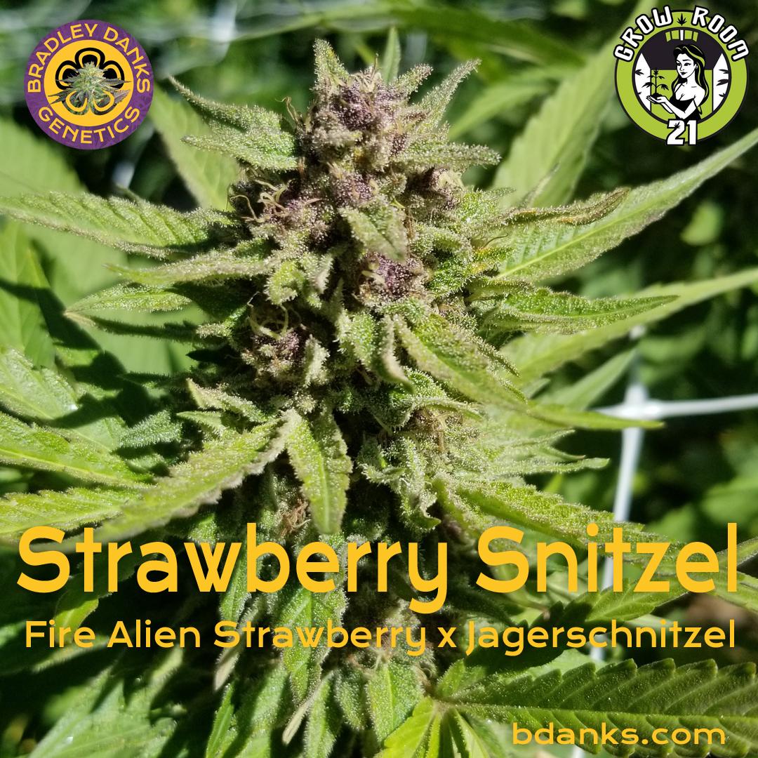 Bild von Strawberry Snitzel