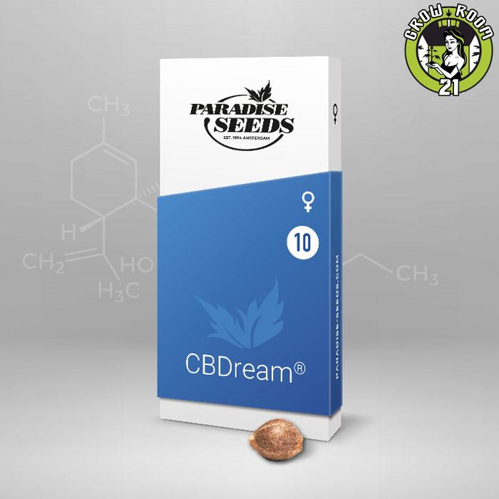 Bild von CBDream