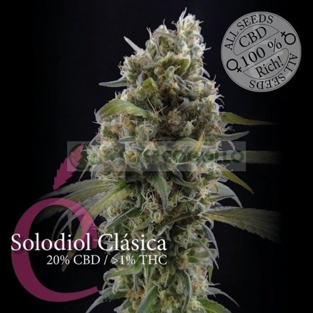 Bild von Solodiol CBD