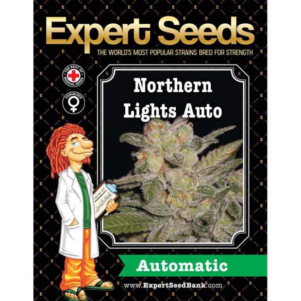 Bild von Northern Lights Auto