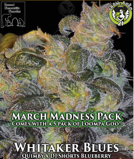 Bild von Whitaker Blues