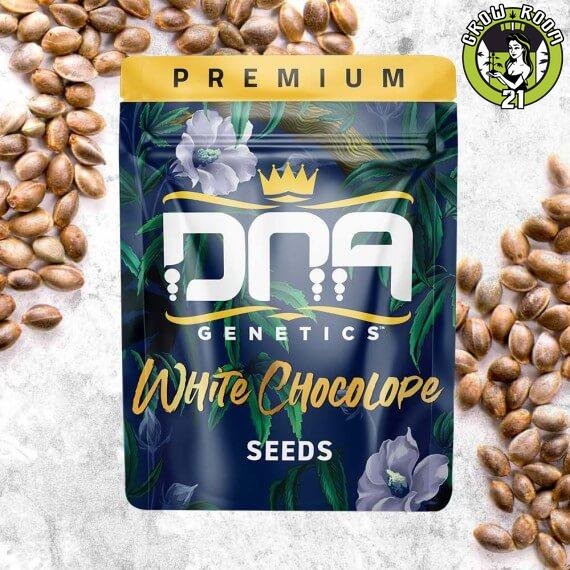 Bild von White Chocolope