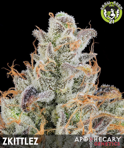 Bild von Grape Zkittlez